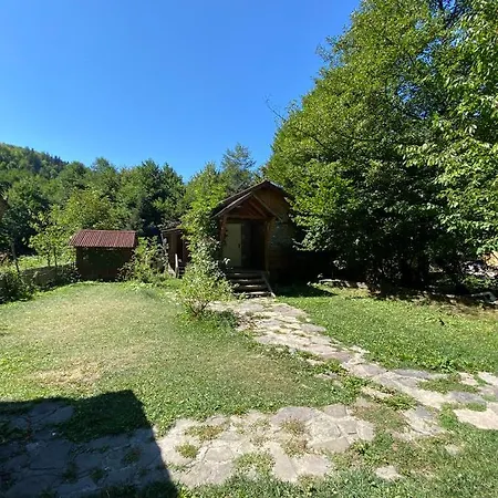 Abant Dere * Abant (Bolu)